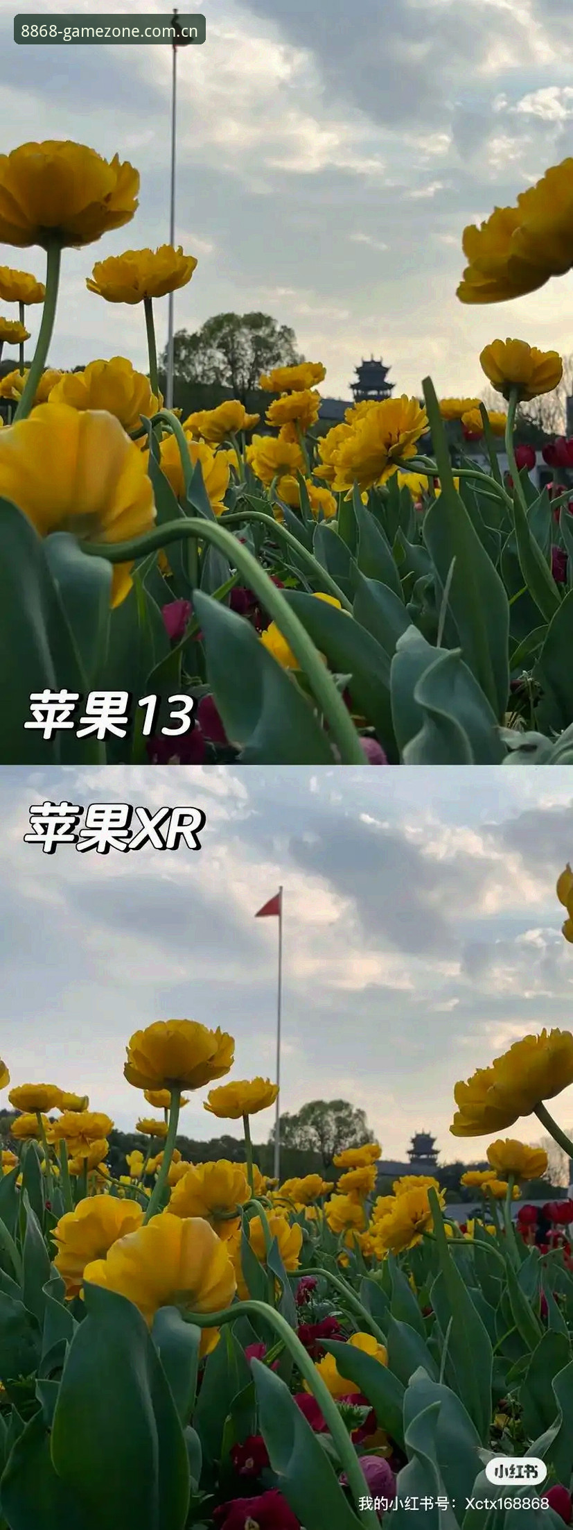 8868体育平台操作教程：三分钟搞懂苹果版、兼容版与CN站怎么选